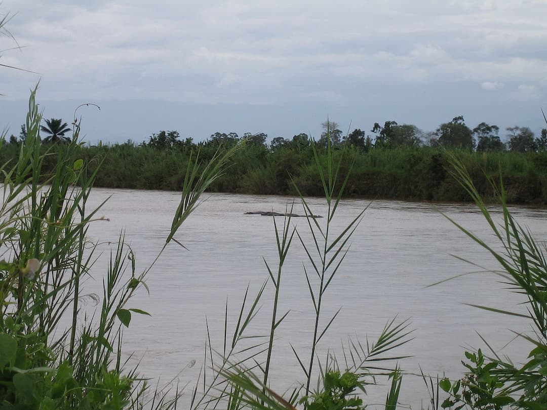 Ruzizi River - Wikipedia