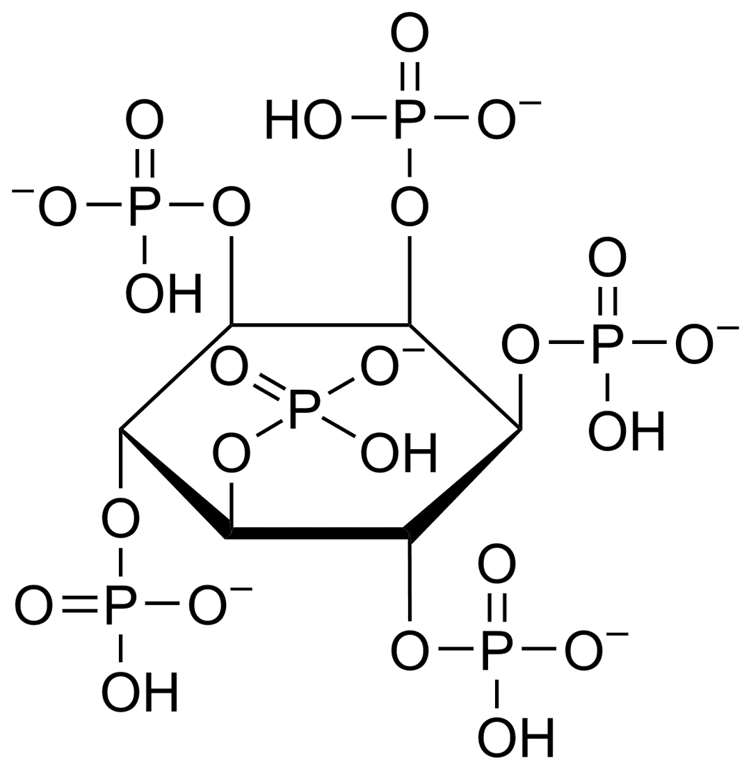 Antinutrient - Wikipedia