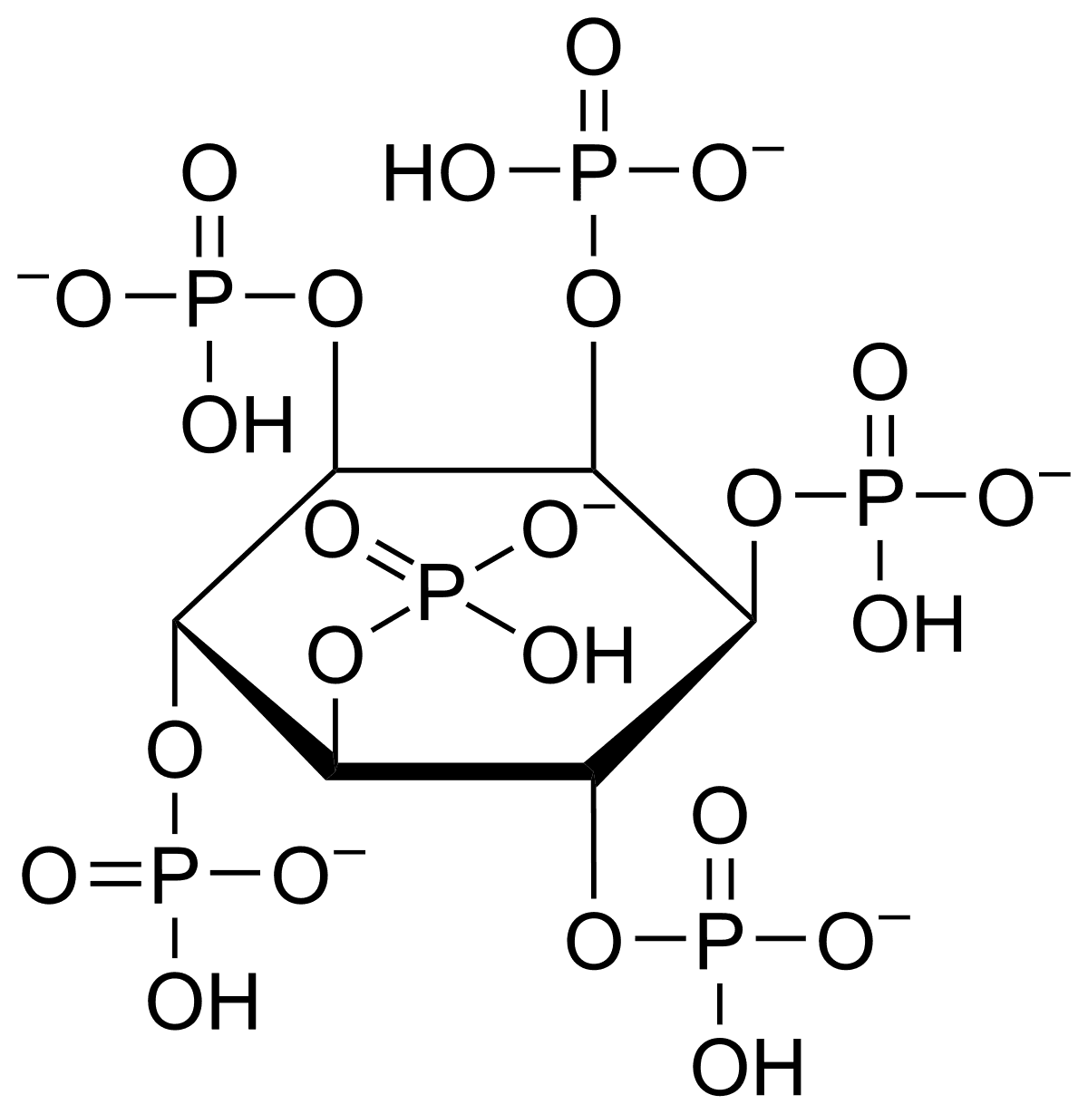 Antinutrient - Wikipedia