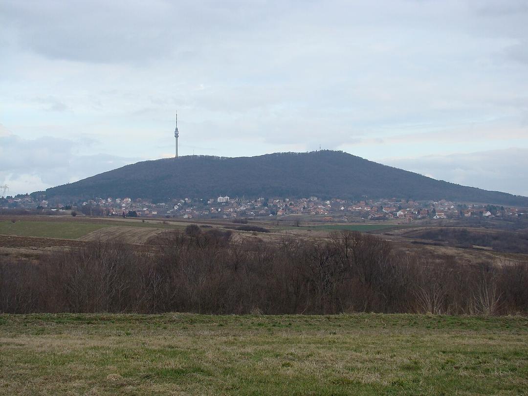 Avala - Wikipedia