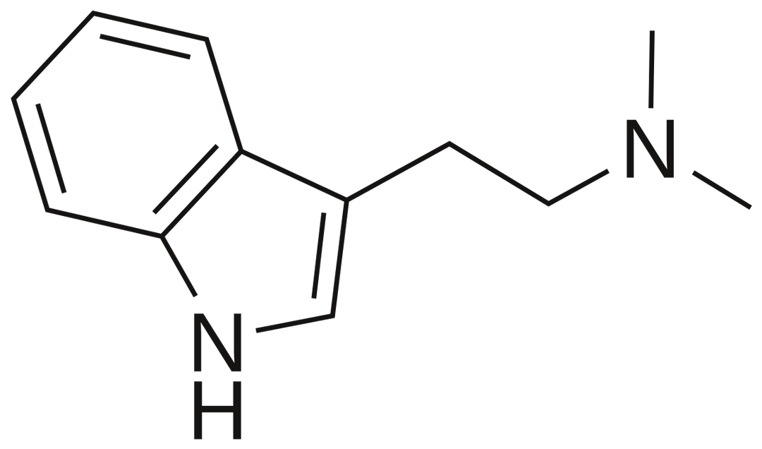 N,N-Dimethyltryptamine - Wikipedia