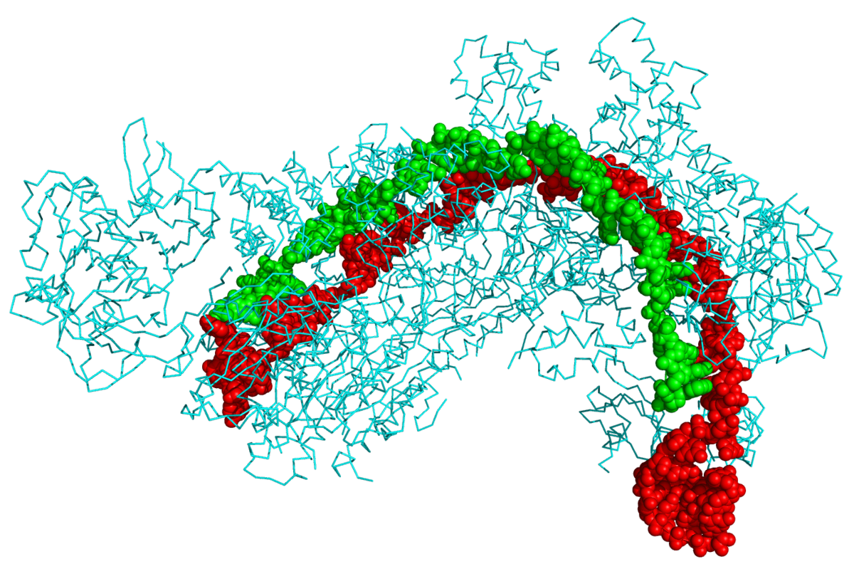 CRISPR - Wikipedia