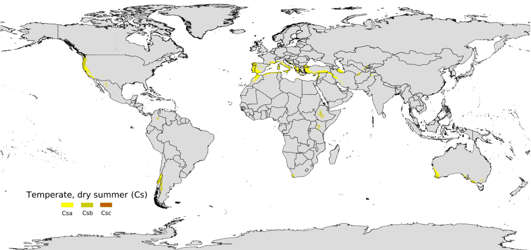 Mediterranean climate - Wikipedia