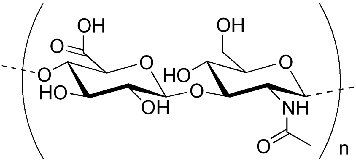 Acide hyaluronique — Wikipédia