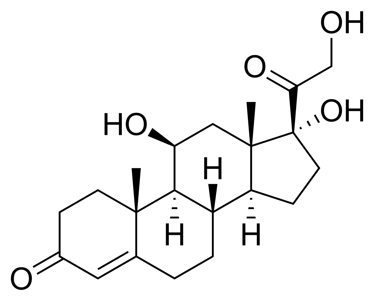 Corticosteroid - Wikipedia