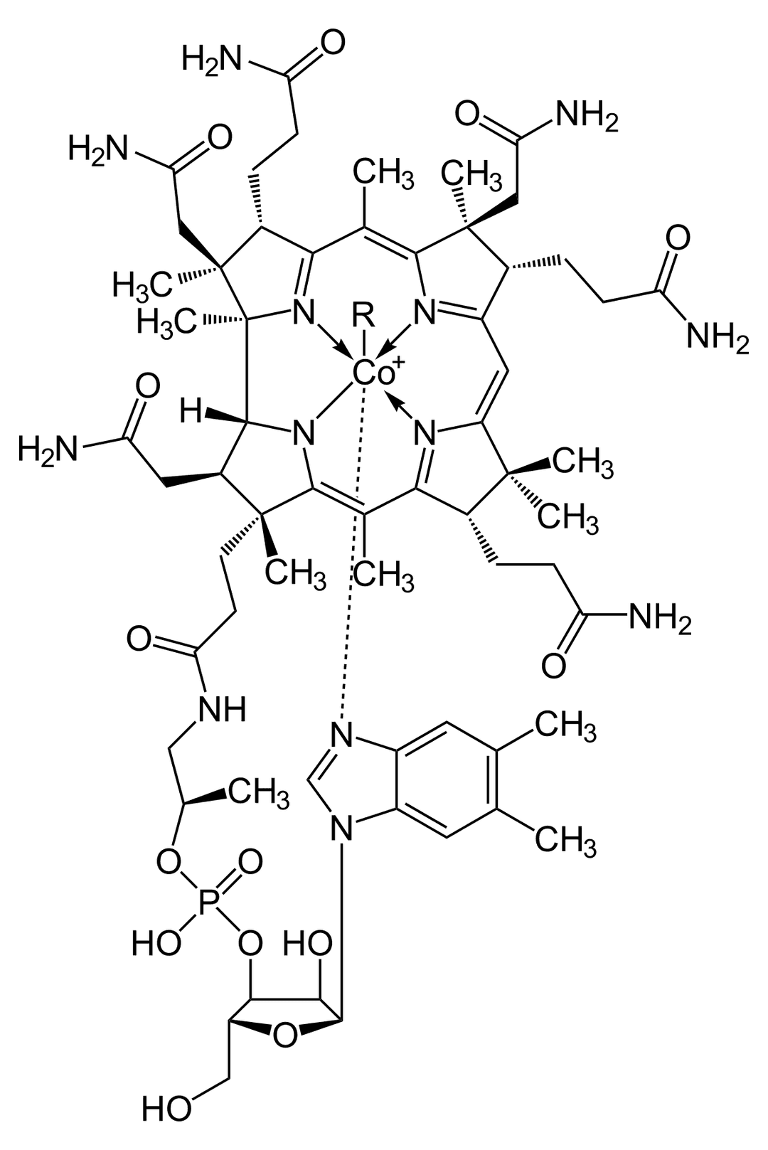 Vitamine B12 — Wikipédia