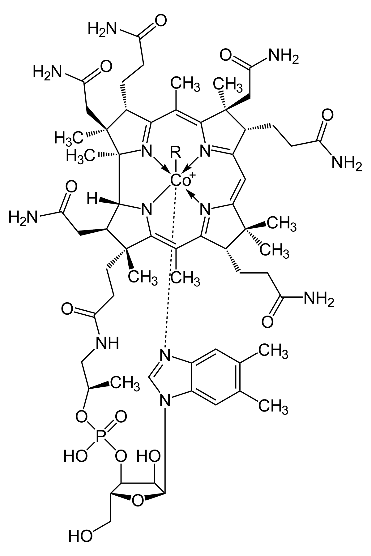 Vitamine B12 — Wikipédia