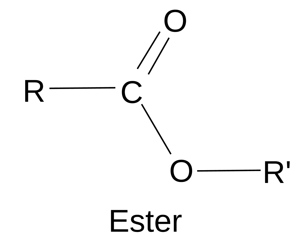 Ester — Wikipédia