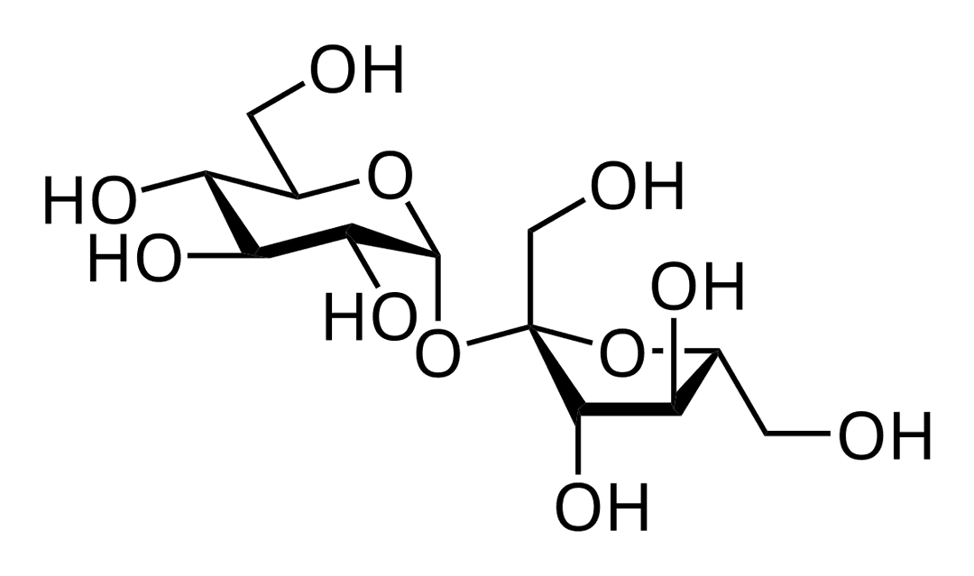 Saccharose — Wikipédia