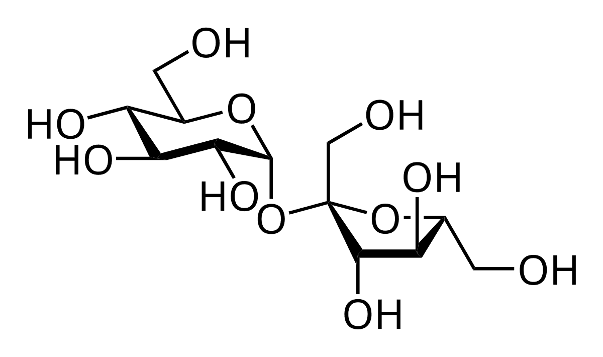 Saccharose — Wikipédia