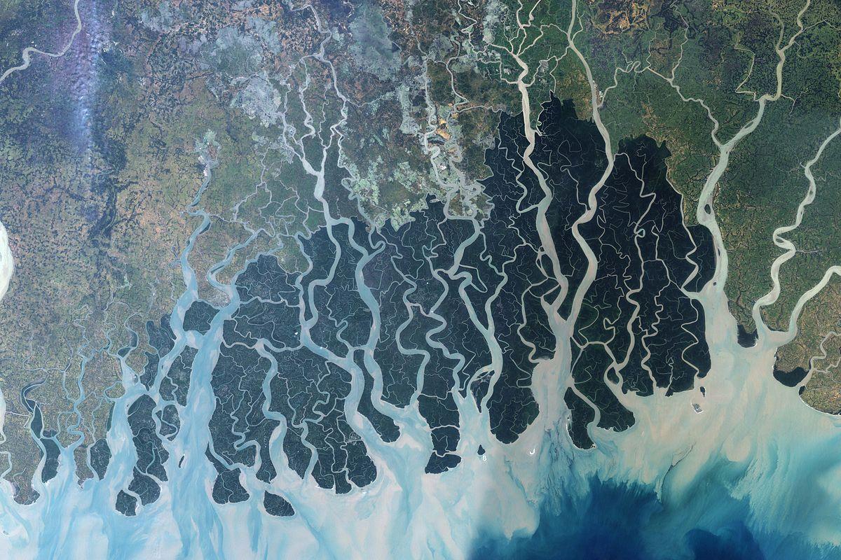 Sundarbans — Wikipédia