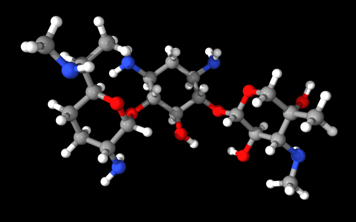 Gentamicin - Wikipedia