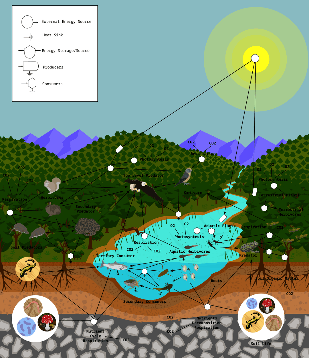 Theoretical ecology - Wikipedia