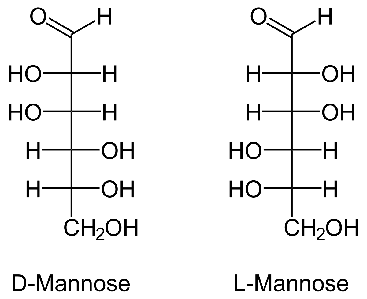 Mannose — Wikipédia