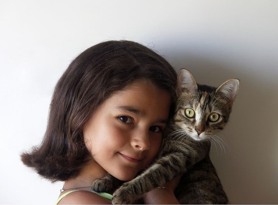 Pet humanization - Wikipedia