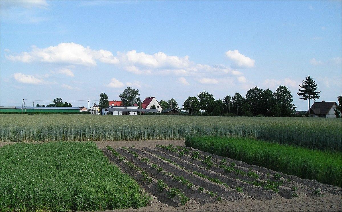 Crop rotation - Wikipedia