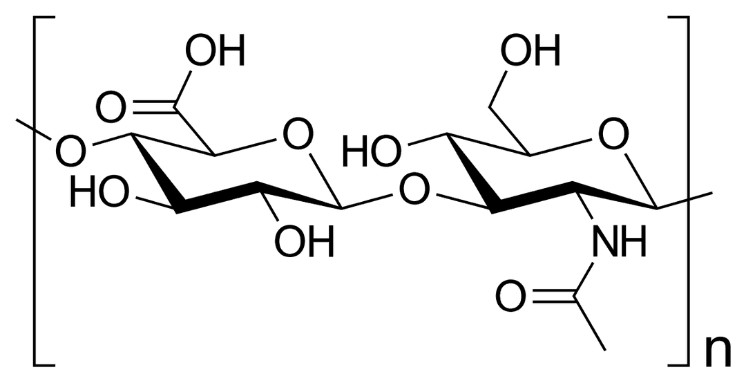 Hyaluronic acid - Wikipedia