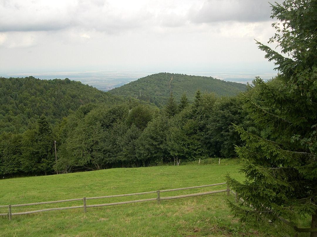 Hartmannswillerkopf - Wikipedia