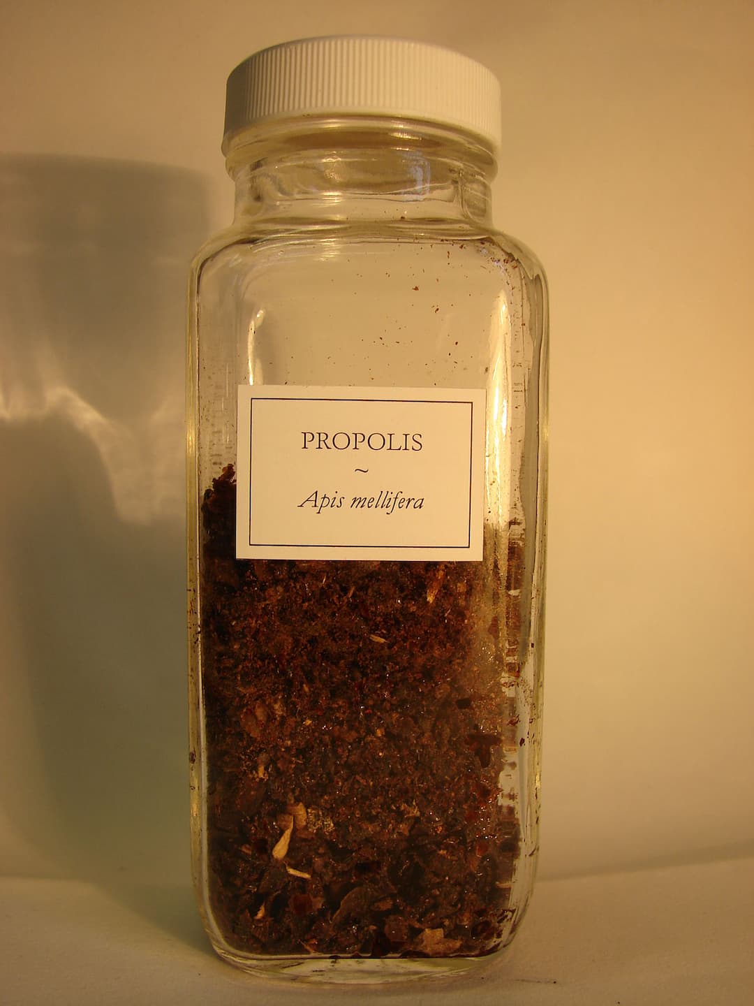 Propolis - Wikipedia