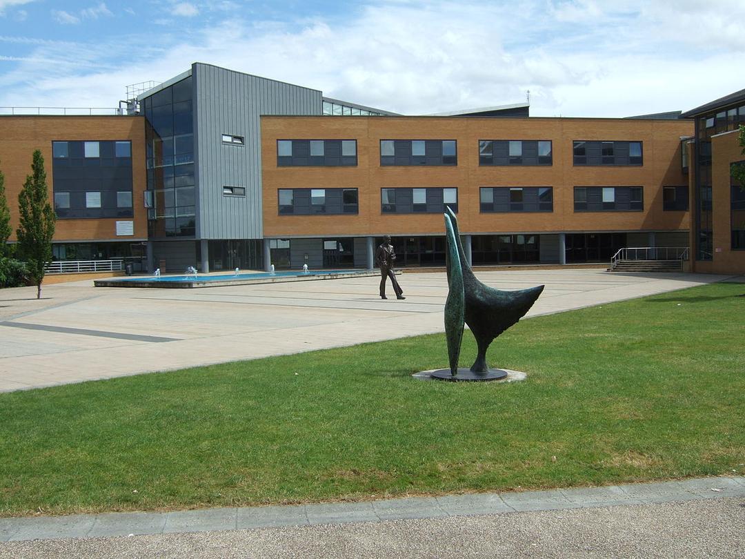 Université de Surrey — Wikipédia