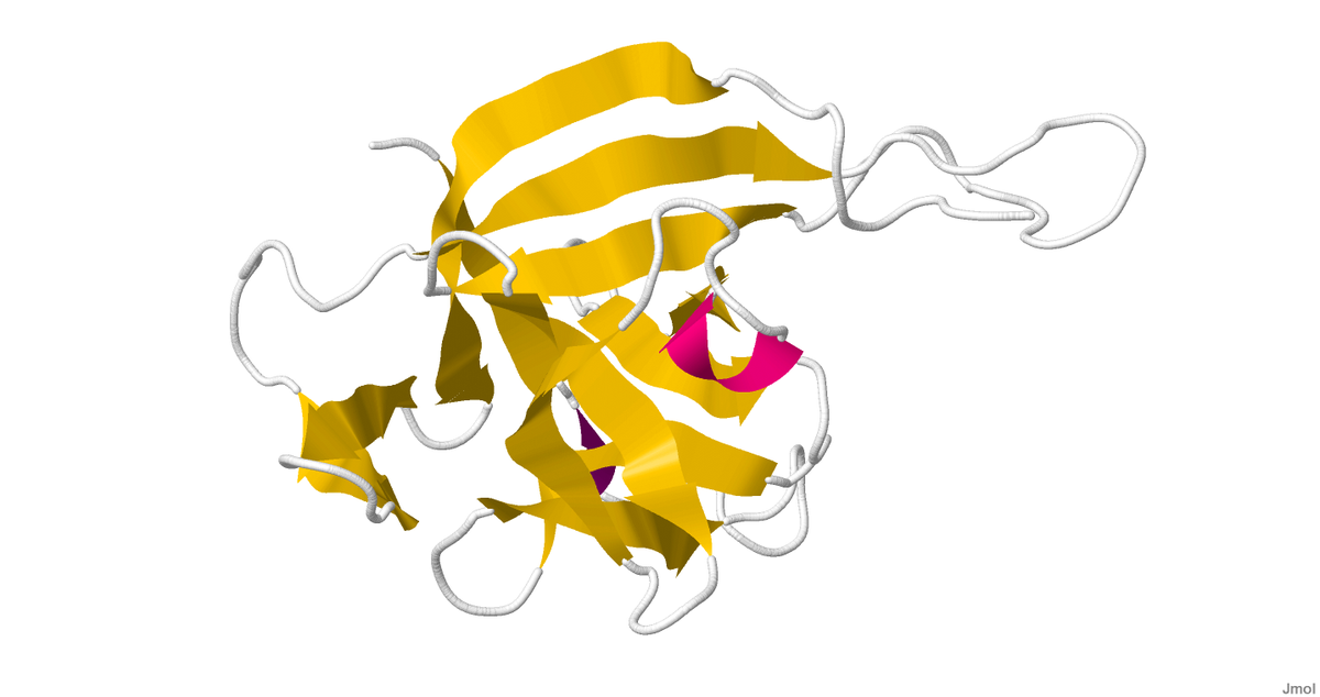 Interleukine 33 — Wikipédia