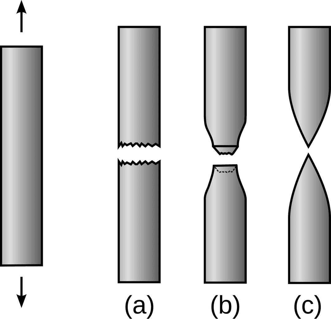 Fragilité — Wikipédia