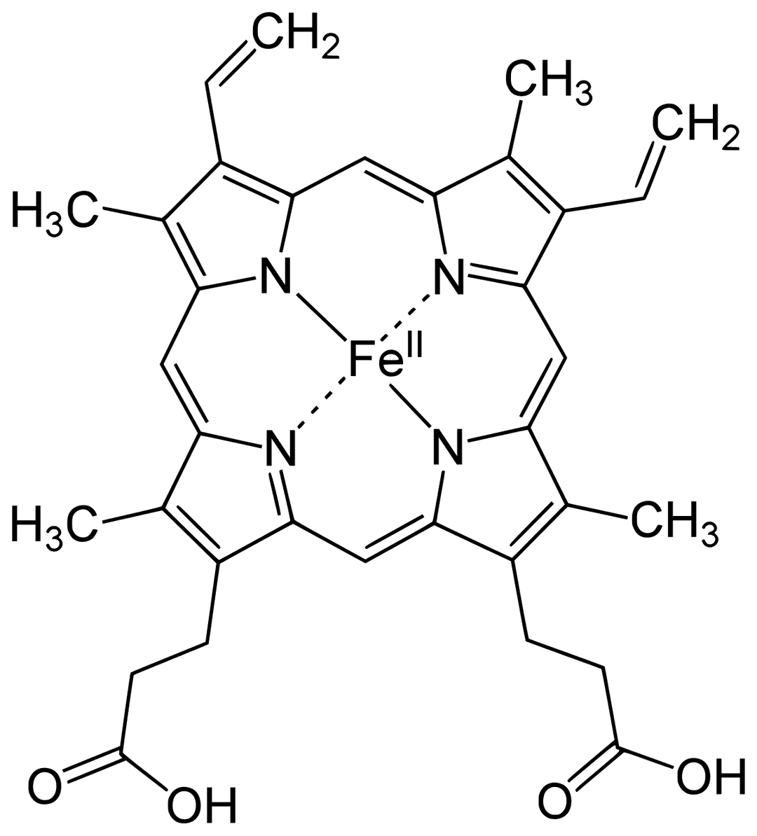 Hème — Wikipédia