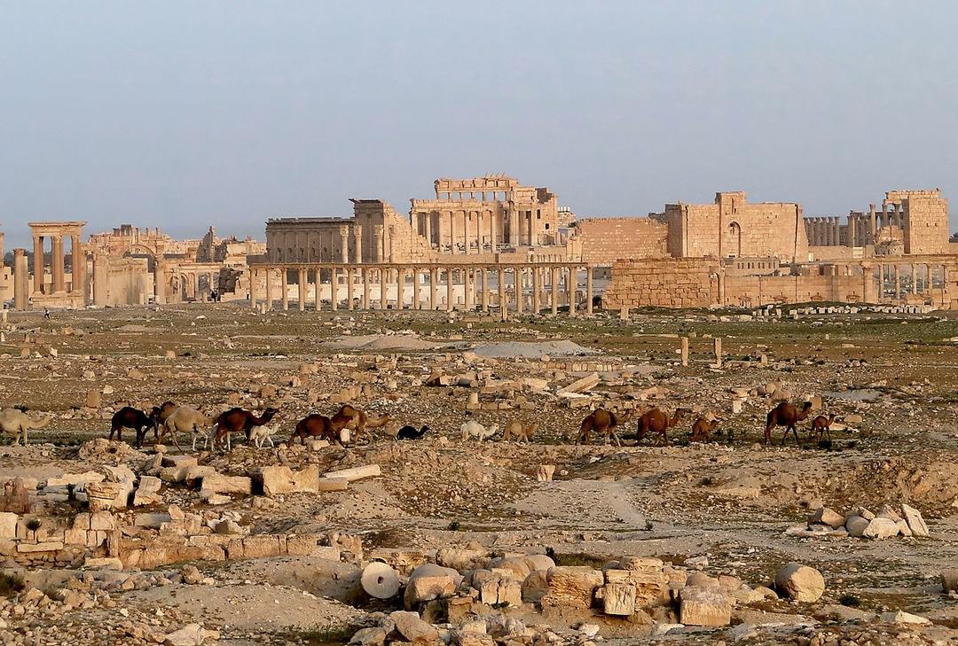 Palmyra - Wikipedia