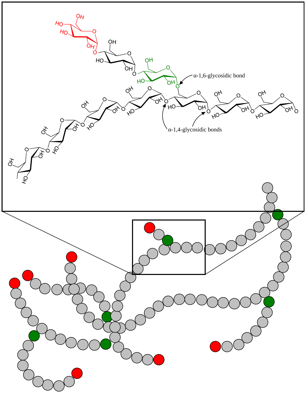 Glycogène — Wikipédia