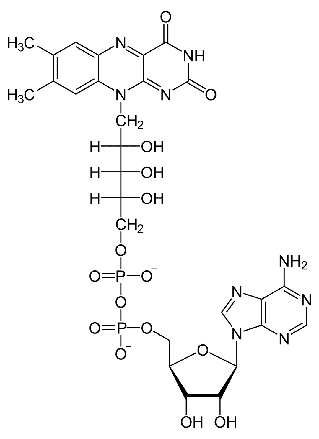 Flavine adénine dinucléotide — Wikipédia