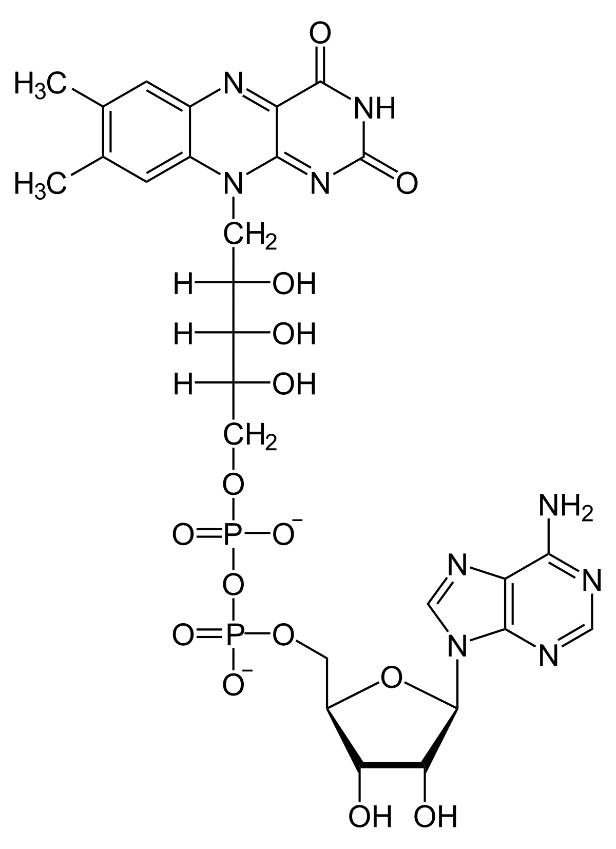 Flavine adénine dinucléotide — Wikipédia