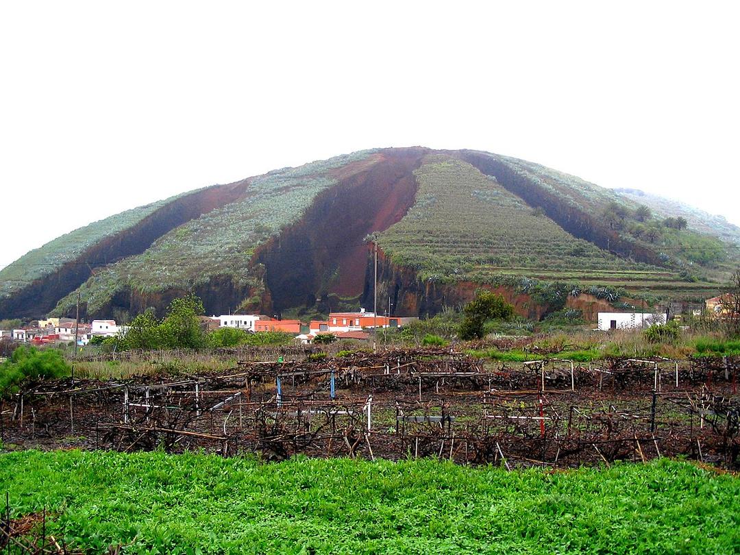 Amendement (agriculture) — Wikipédia