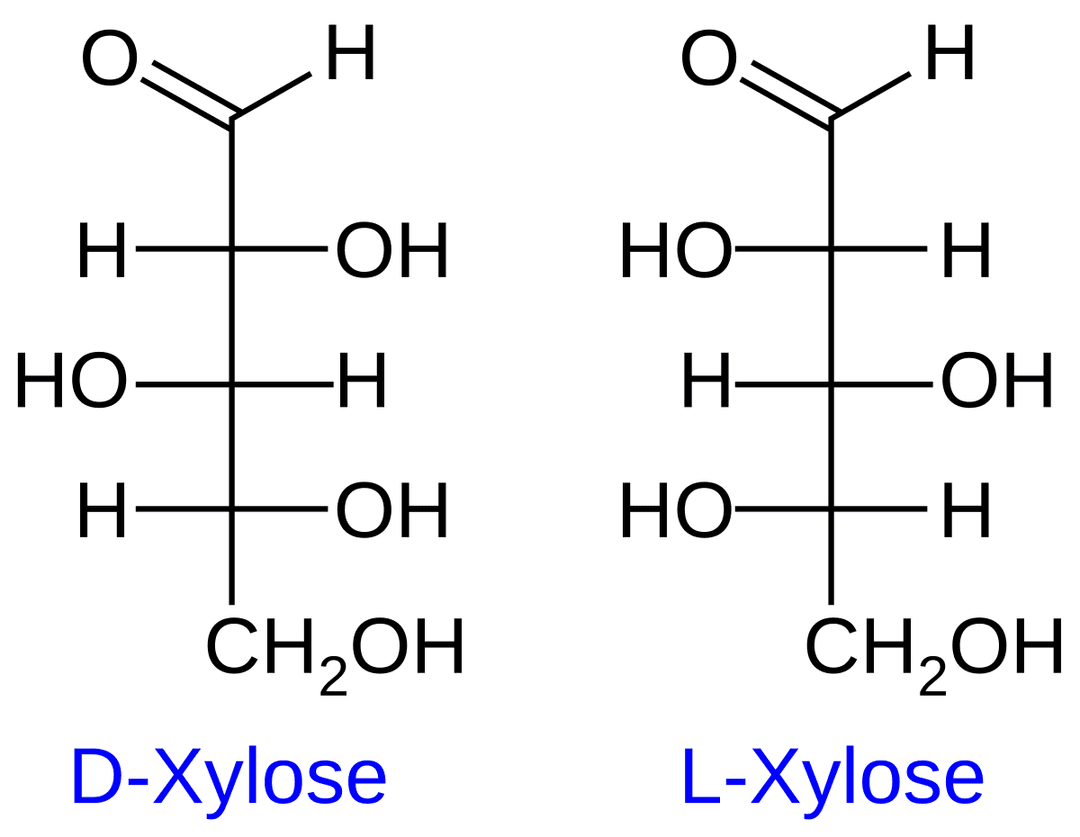 Xylose — Wikipédia