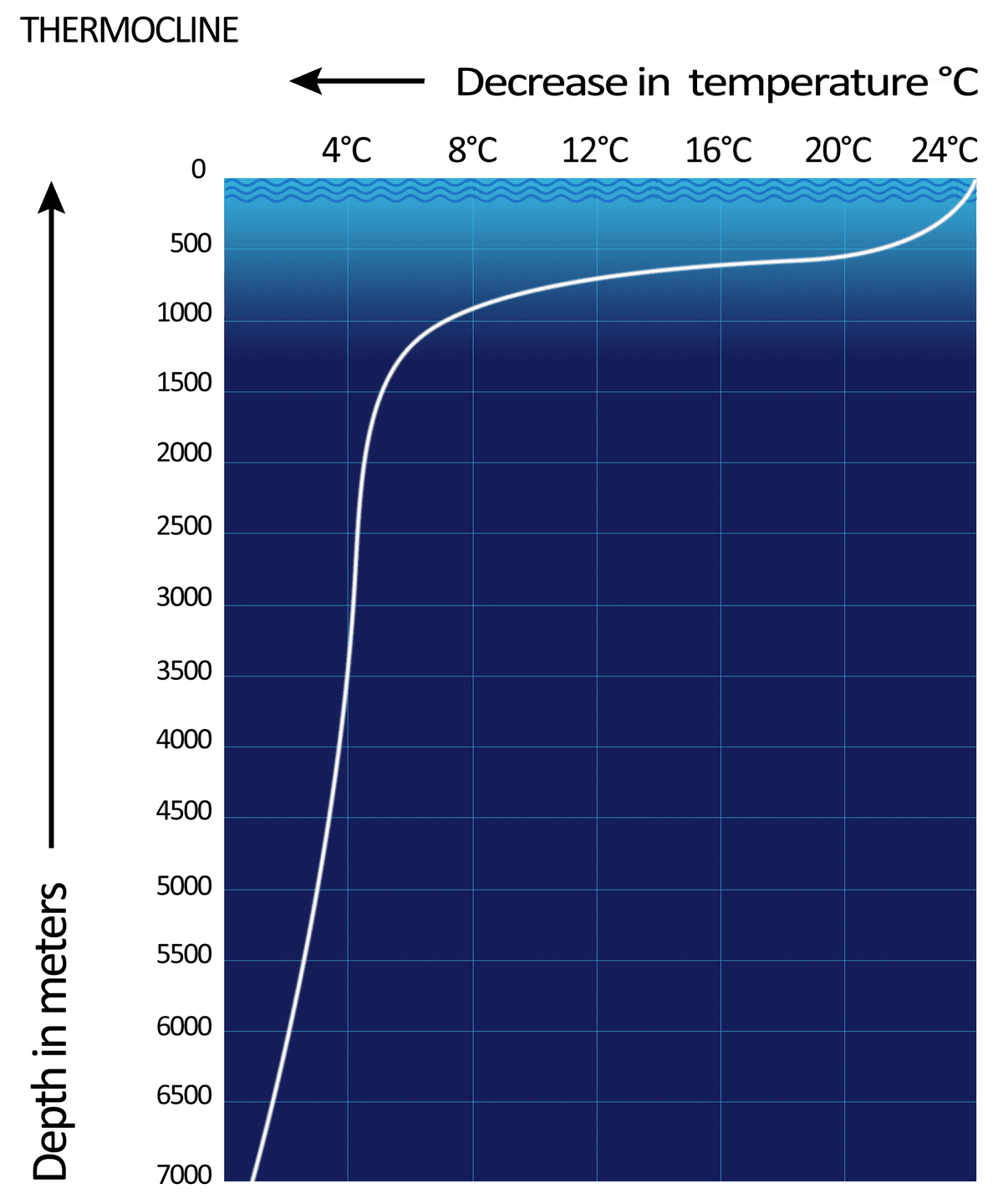 Thermocline - Wikipedia