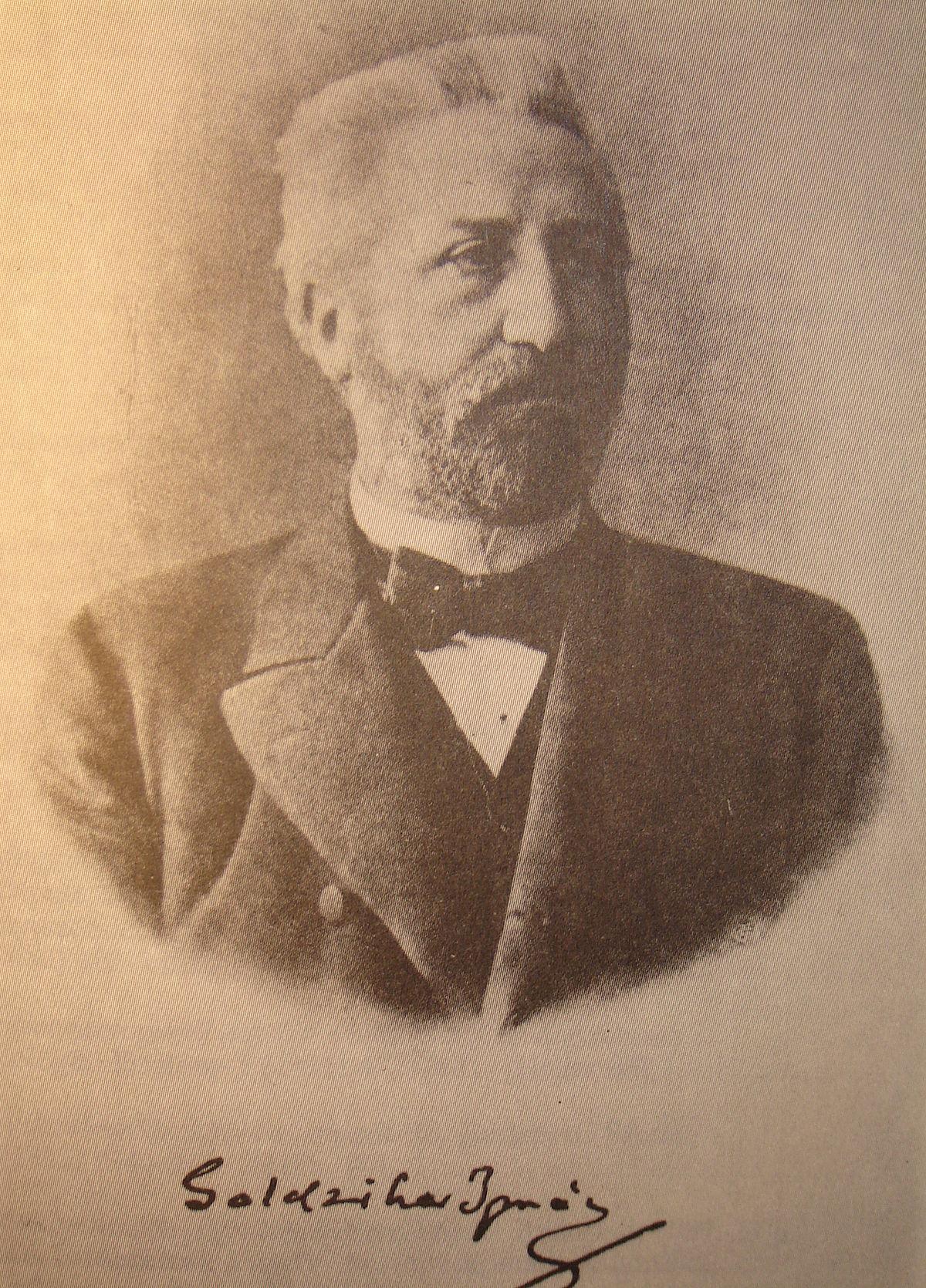 Ignaz Goldziher — Wikipédia