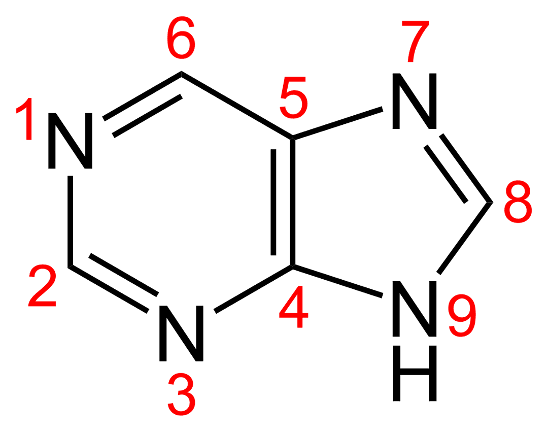 Purine - Wikipedia