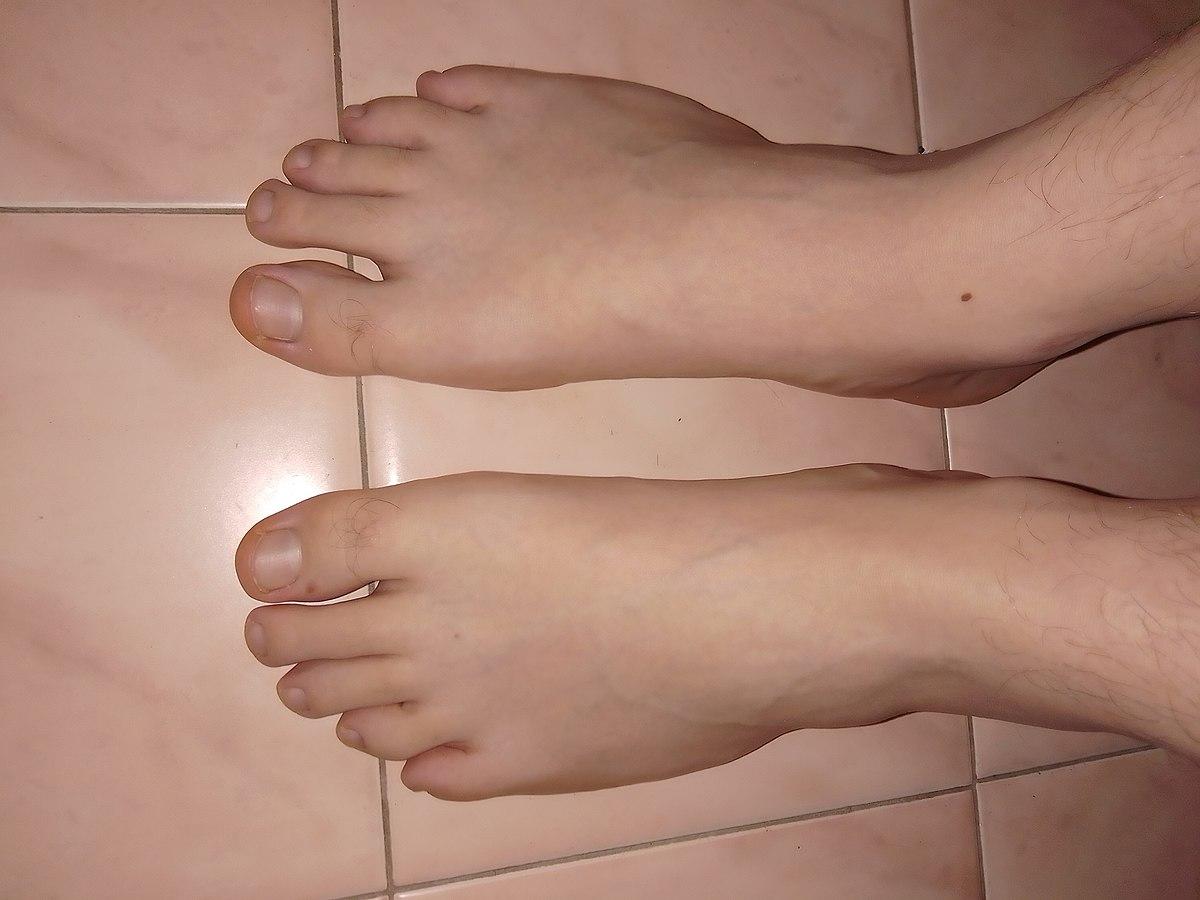 Foot - Wikipedia