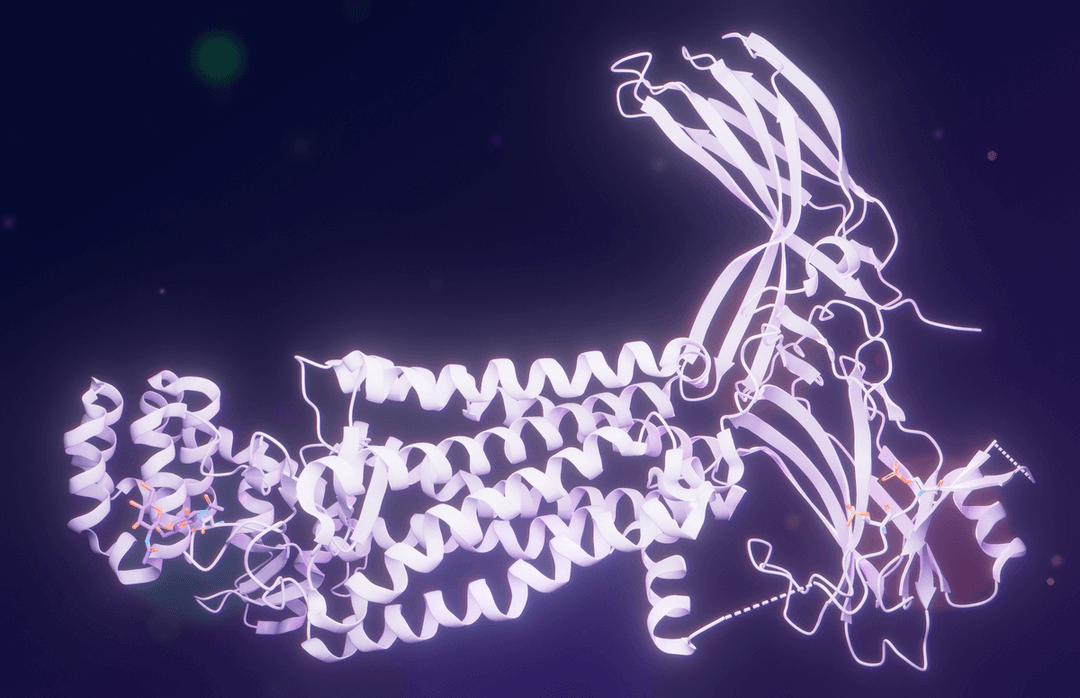 Rhodopsin - Wikipedia