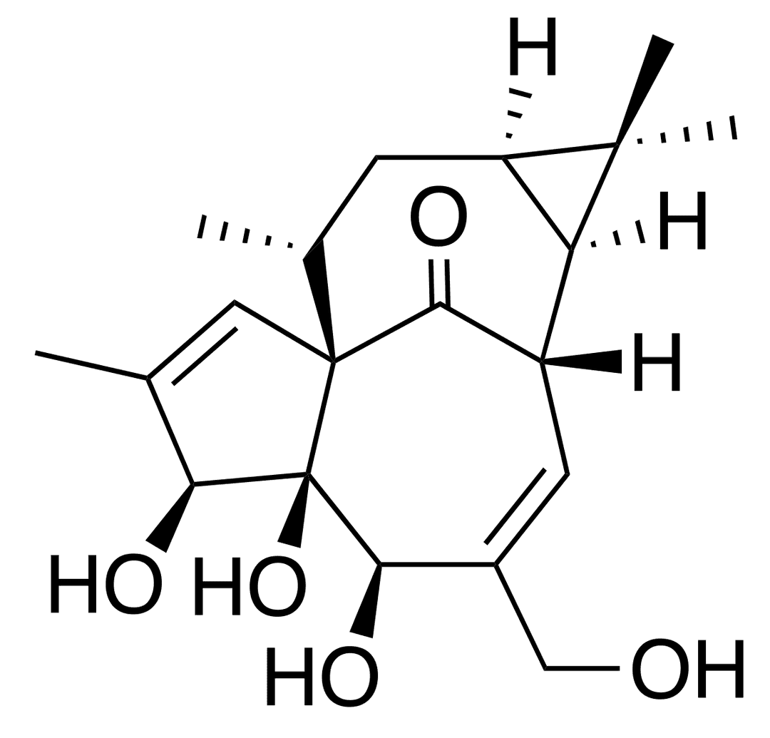 Cyclic compound - Wikipedia