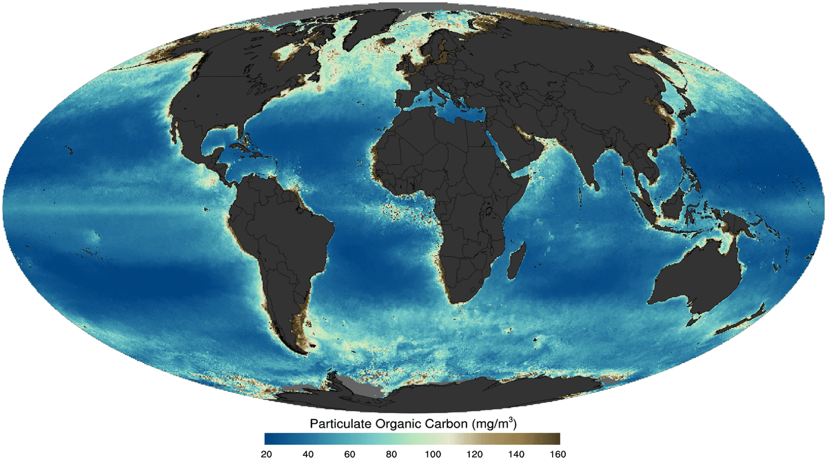 Total organic carbon - Wikipedia