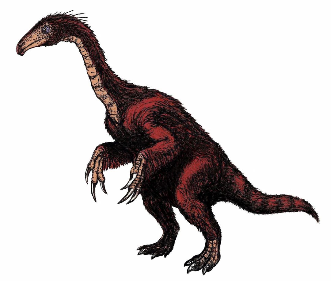 Segnosaurus — Wikipédia