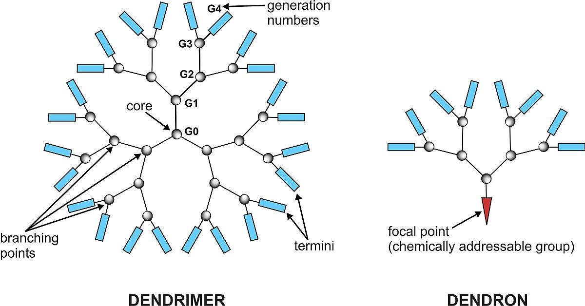 Dendrimère — Wikipédia