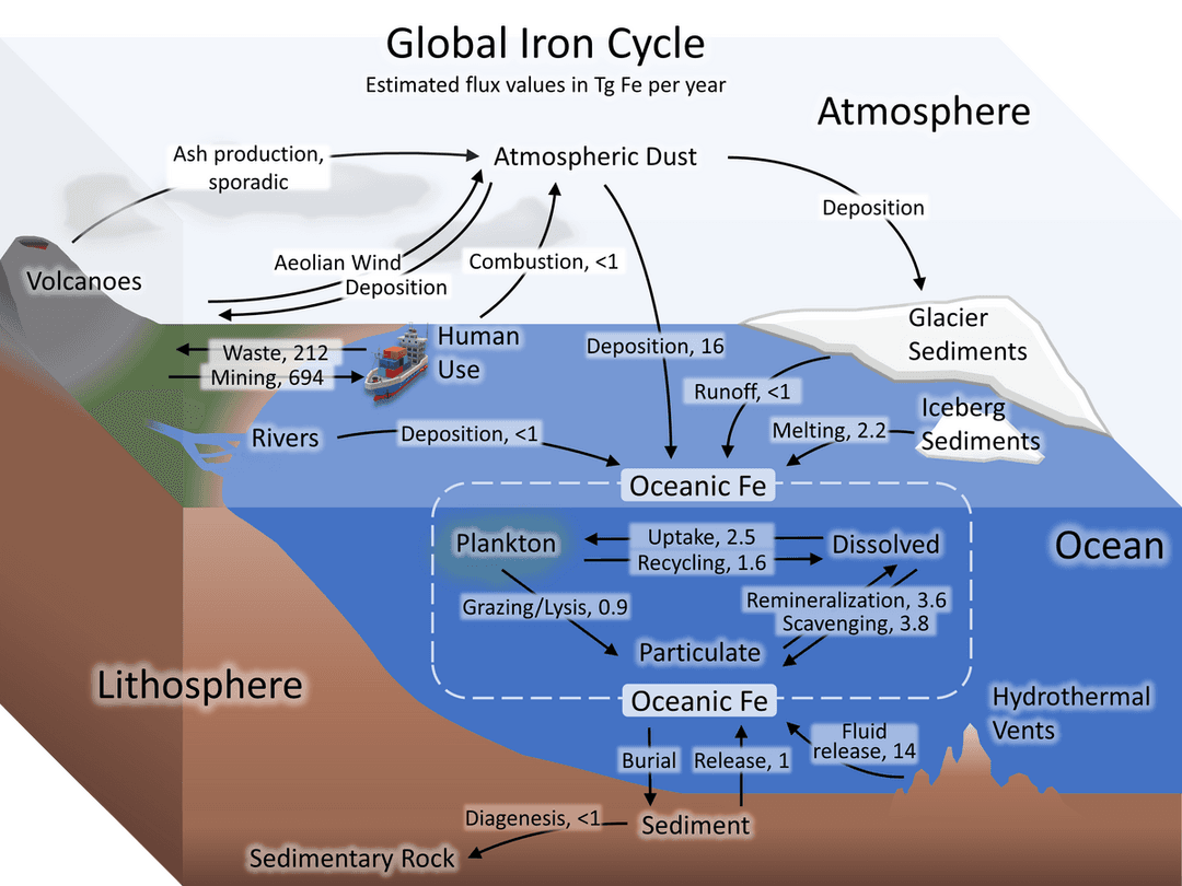 Cycle du fer — Wikipédia