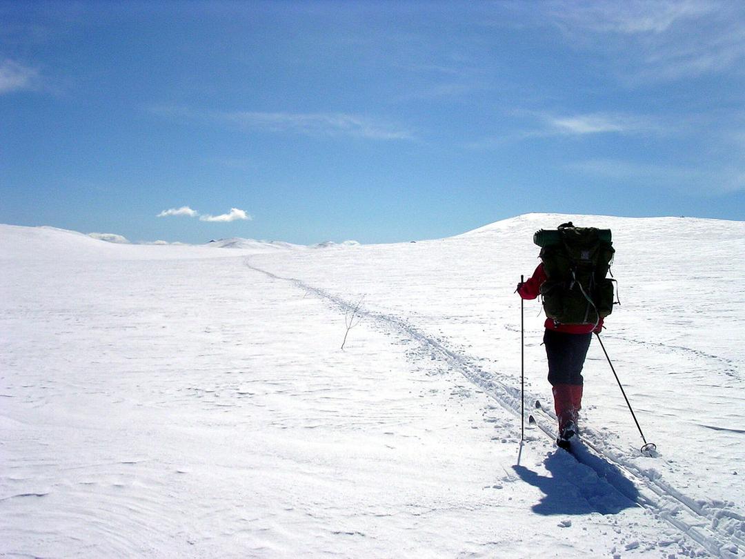 Ski de randonnée nordique — Wikipédia