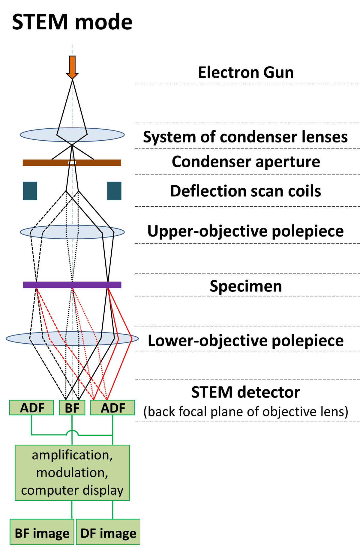 Scanning transmission electron microscopy - Wikipedia