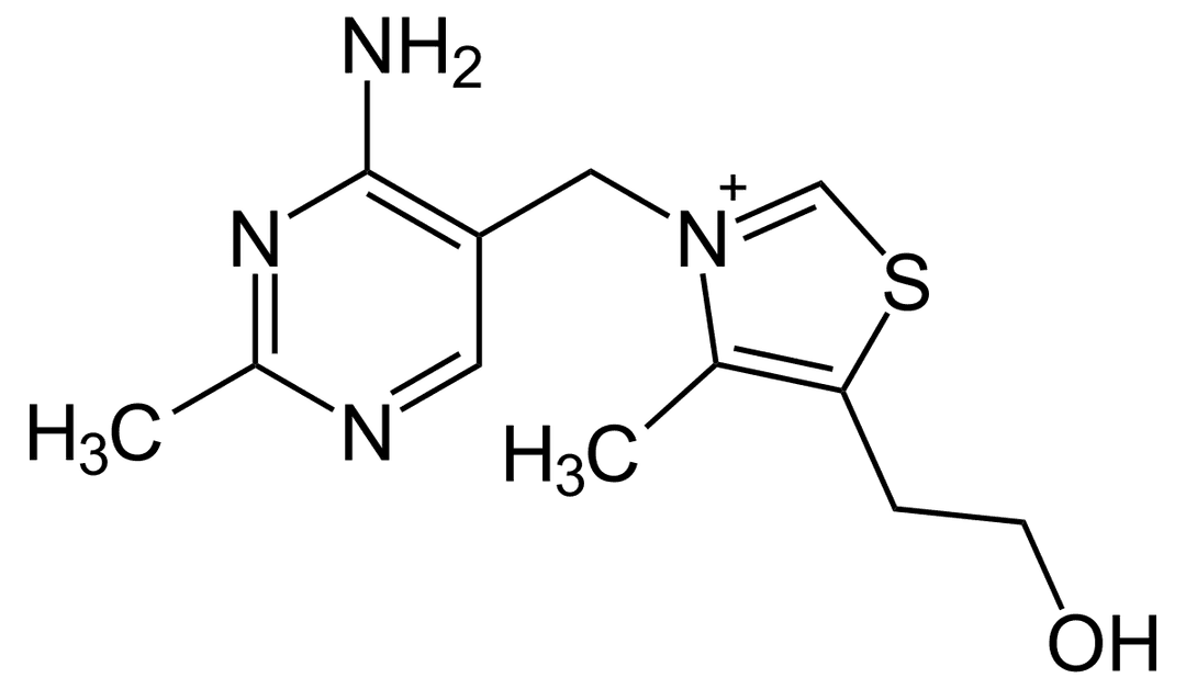 Vitamine B1 — Wikipédia