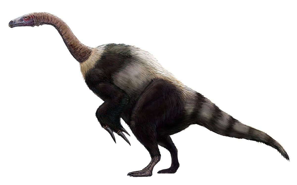 Suzhousaurus — Wikipédia