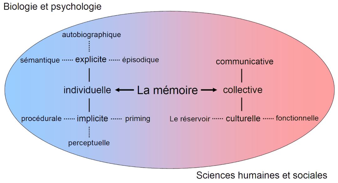 Mémoire (psychologie) — Wikipédia