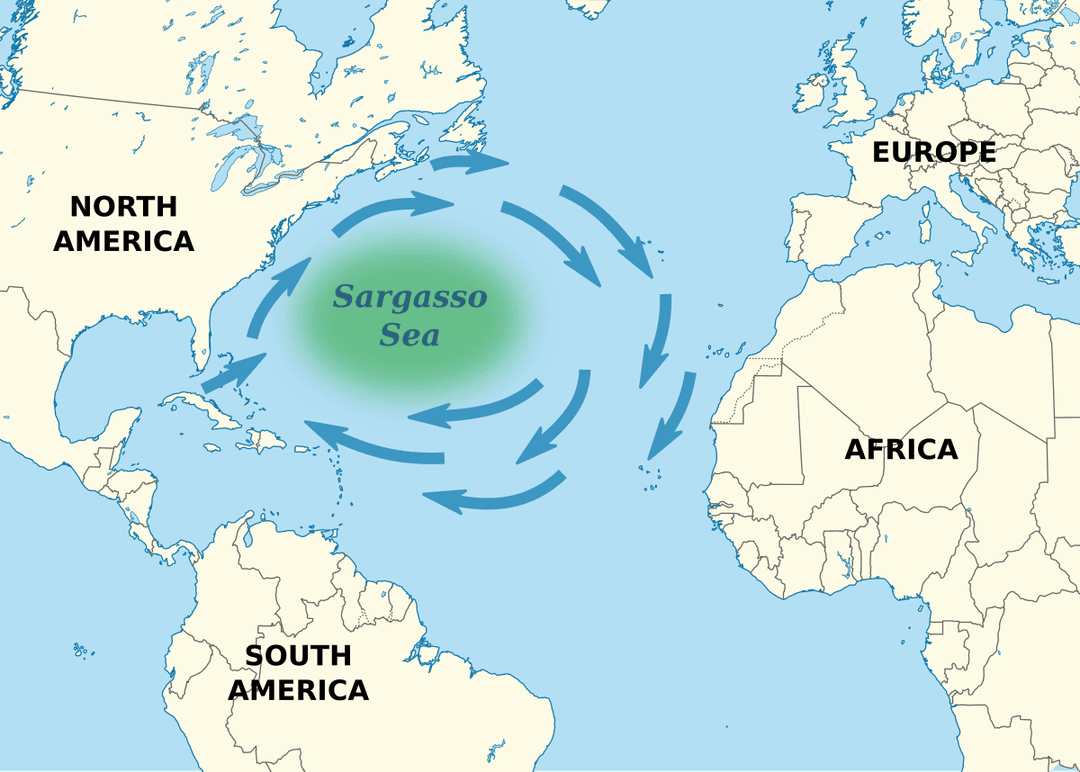 Mer des Sargasses — Wikipédia