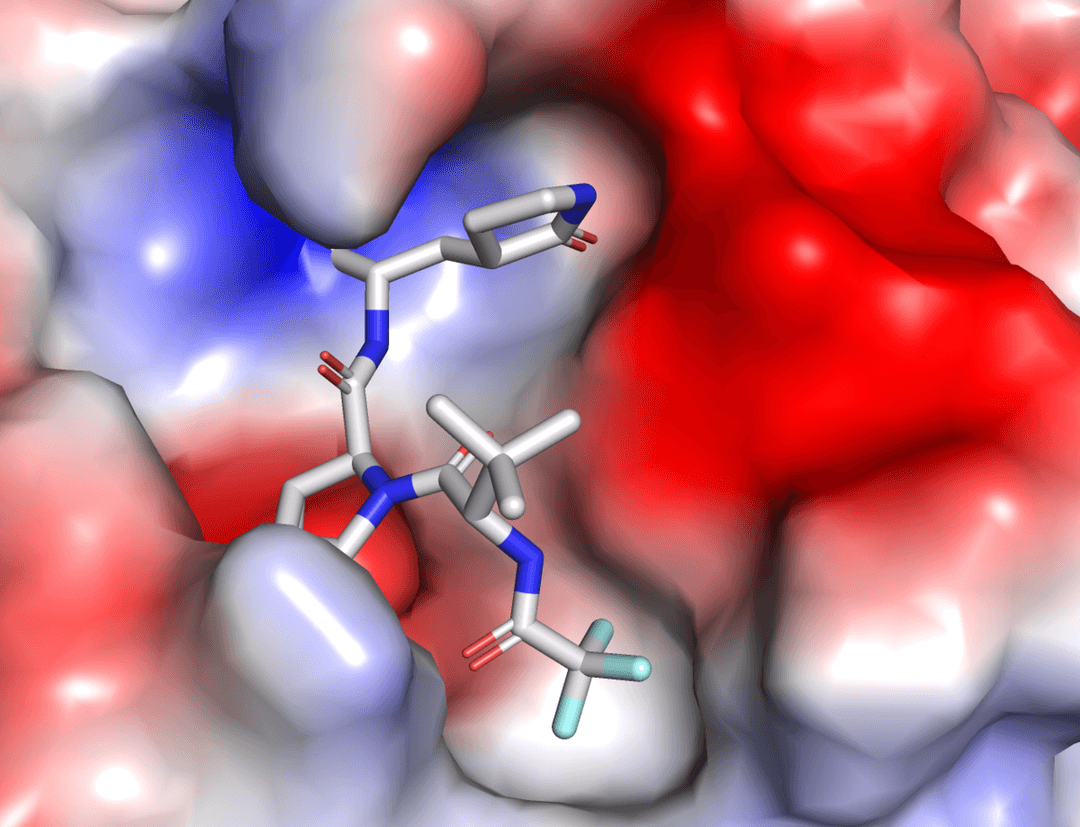 Chimie pharmaceutique — Wikipédia